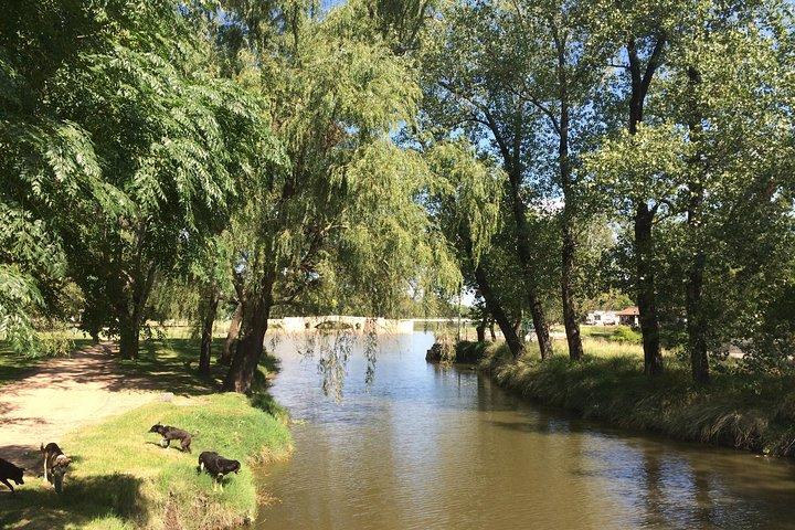 San Antonio de Areco och Lujans dagstur från Buenos Aires