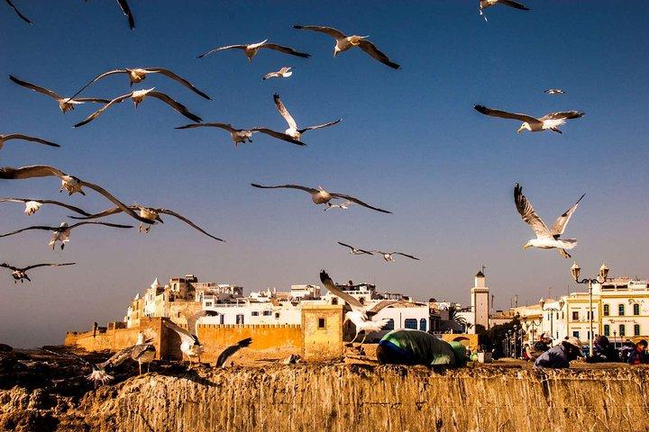 Tour Privado de Dia Inteiro a Essaouira Mogador de Marraquexe