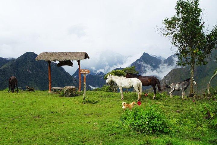 Salkantay Trek Premium 5D/4N