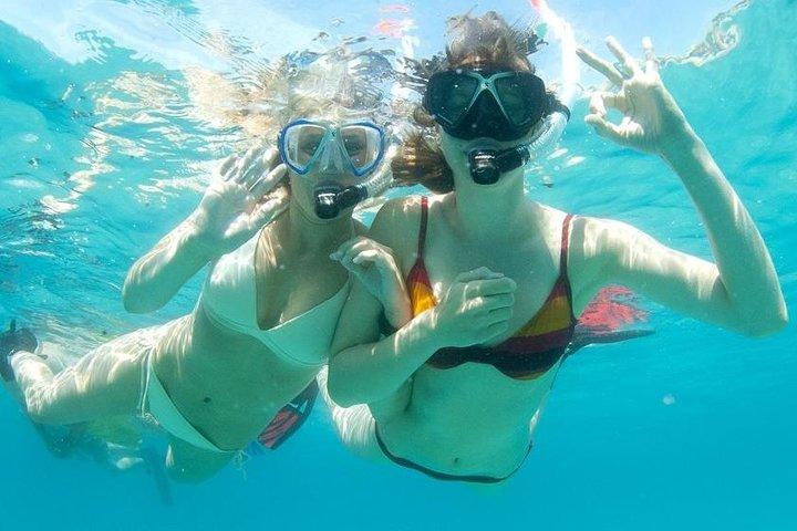 Tour di snorkeling alle isole Malgrats in barca