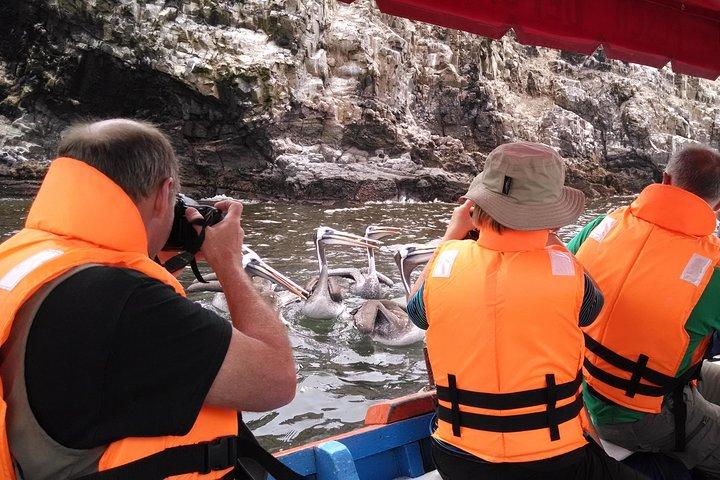 Observation de la faune marine dans un village de pêcheurs
