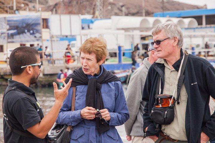 Observation de la faune marine dans un village de pêcheurs