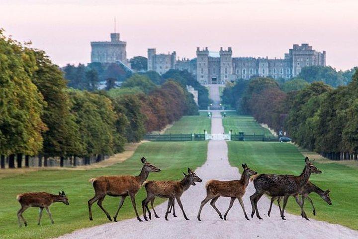 Transfert privé aller simple ou aller-retour de l'aéroport d'Heathrow à Windsor