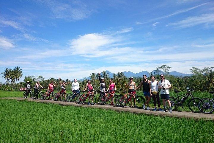 Halve dag Ubud elektrische fietstocht naar Tirta Empul Water Temple