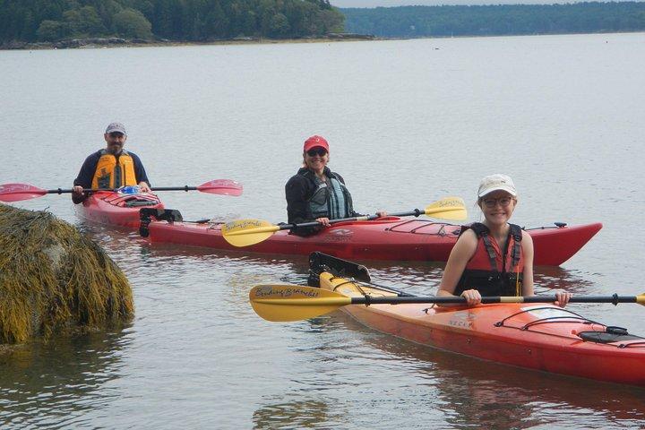 キャスコ湾のオイスター ファーム & 無料試食シー カヤック ツアー