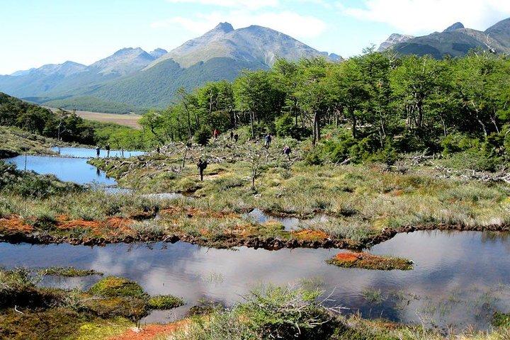 Parco Nazionale Tierra del Fuego con Lapataia Bay di Ushuaia