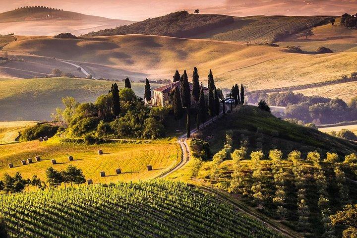 Visita guiada privada: Siena San Gimignano e Chianti