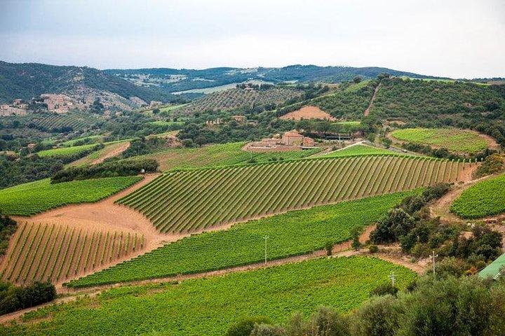Visita guiada privada: Siena San Gimignano e Chianti