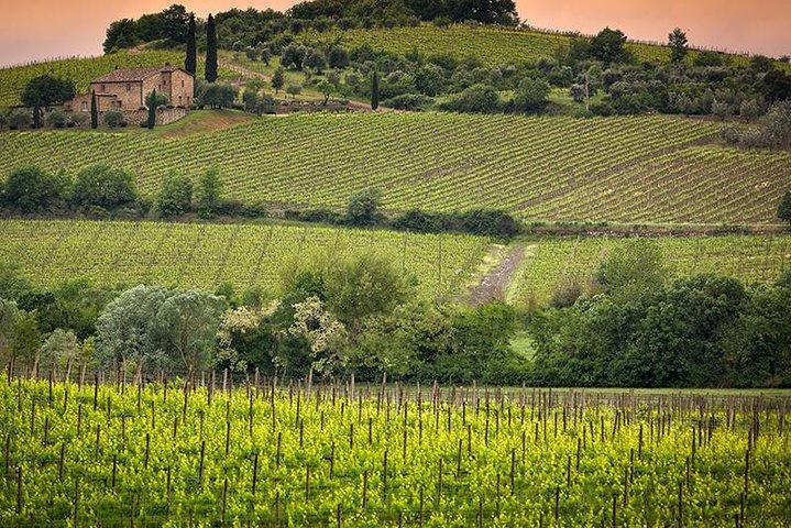 Privé tour Brunello di Montalcino en Nobile di Montepulciano wijnervaring in Toscane