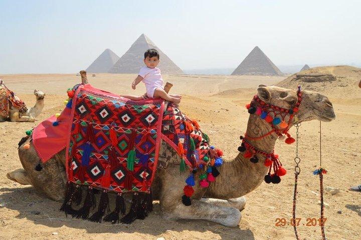 Layover turné i Kairo Besök Giza pyramiderna och Sakkara och Dahshour och memphis