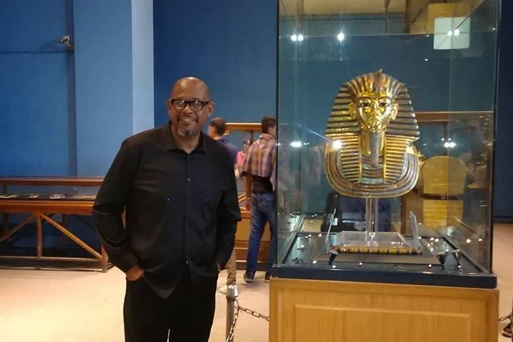 Unusual Day Tour To Cairo From Luxor