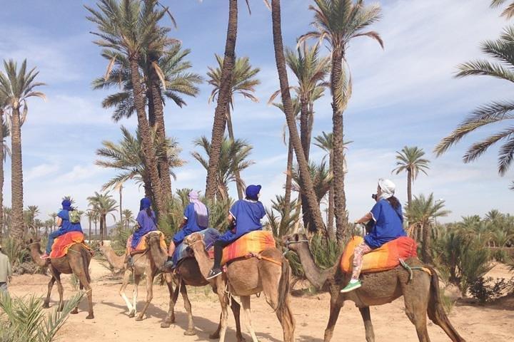 Camel Ride Near To Marrakech
