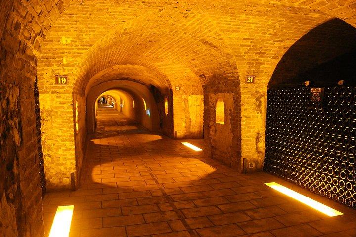 Viagem de um dia a partir de Paris com 8 degustações e almoço