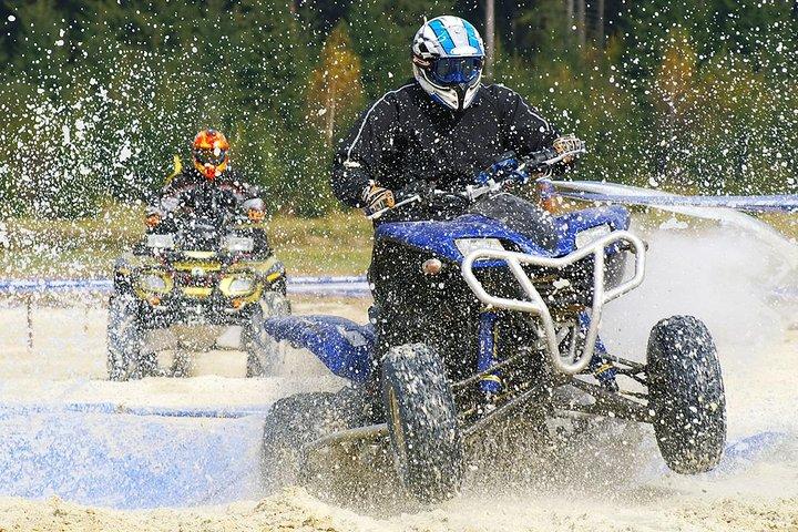 GoKEDEM Golan Heights ATVアクション＆テルアビブからのワインテイスティングツアー