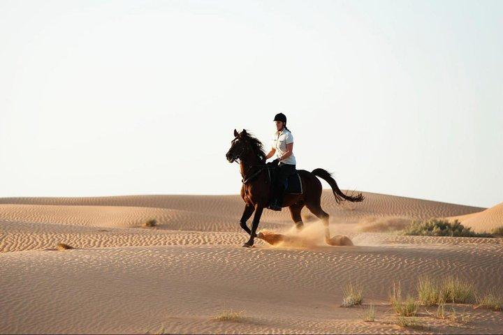 Ridning i Dubai-ørkenen med overførsler
