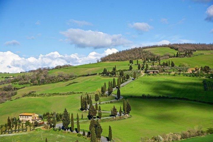 Esperienza privata del vino toscano da Roma : Montepulciano & Pienza