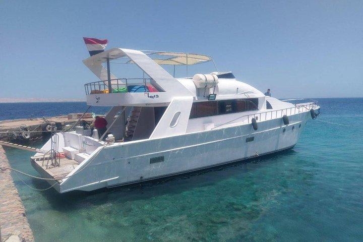 Private Schnorchel-Bootsfahrt zum Dolphin House von Hurghada
