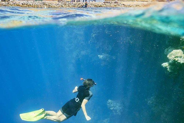 Port Ghalib dag snorkling utflykt