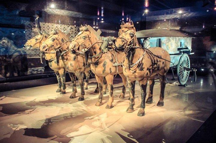 Privat Halvdags Tour af Xi'an Terracotta Warriors