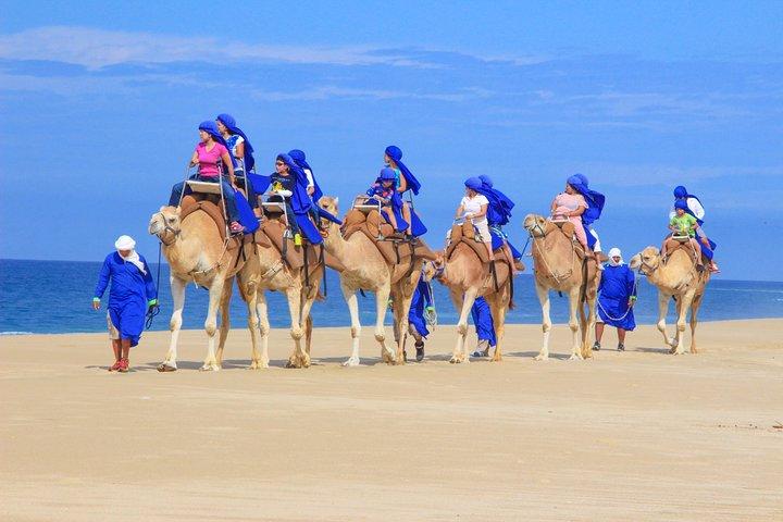 Cabo Beach Camel Ride, Buffet mexicano e degustação de tequila