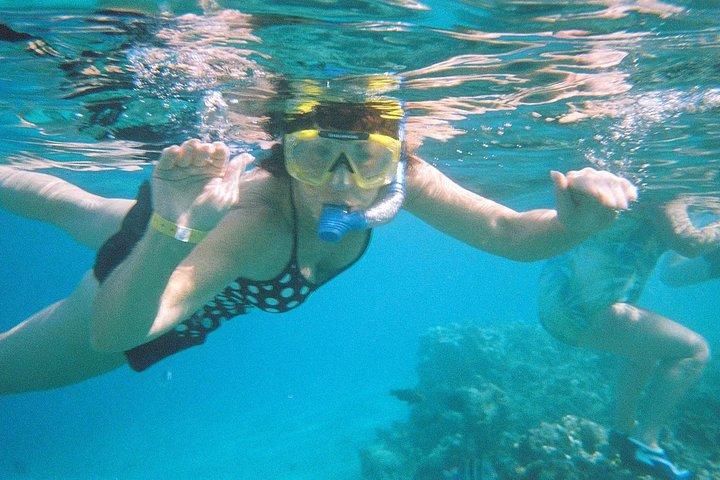 Snorkling med båd til Ras Mohamed og White Island-udflugt i Sharm