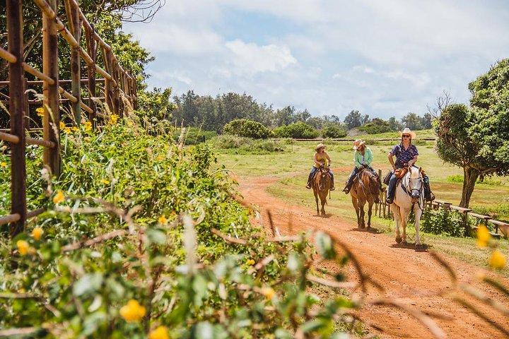 Reiten wie ein authentischer Paniolo in Kahuku