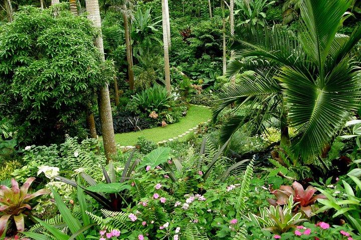 Hunte's Garden e tour dell'abbazia di San Nicola per piccoli gruppi Barbados