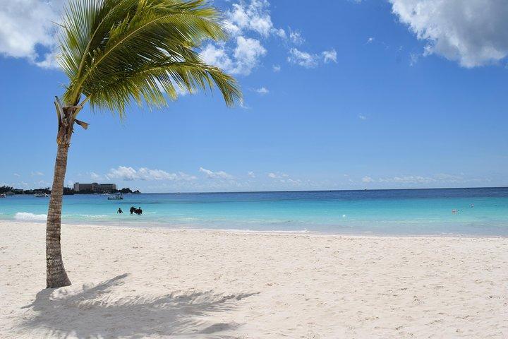 Excursión en tranvía a la cueva de Harrison en Barbados y aventura de esnórquel en crucero en barco