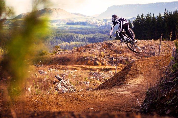Visite en VTT autoguidée d'une demi-journée à travers la forêt de séquoias de Whakarewarewa