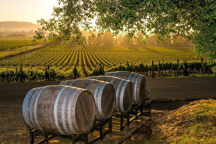 Fredericksburg Wine Tour mit drei Weinkellereistopps plus Mittagessen