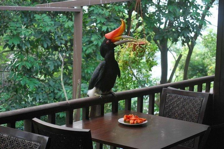 Bilhete de entrada para o Kuala Lumpur Bird Park com coleta particular