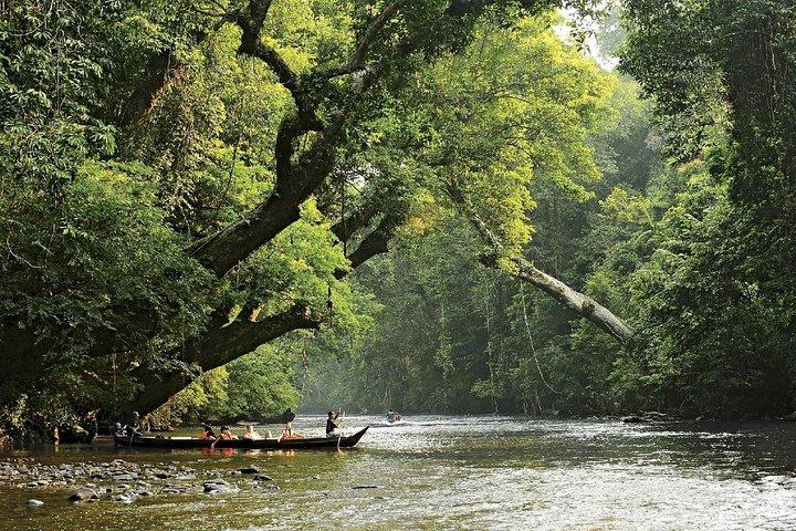 Kuala Lumpur para Taman Negara via Kuala Tembeling Pontão SIC Transfer