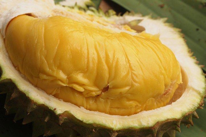 Durian Lovers’ Night Out : Musang King Feast & KL Icons