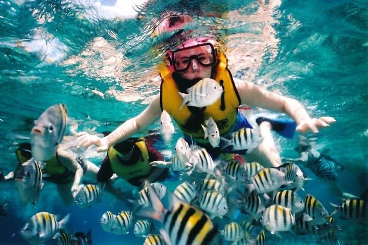 Tour privato: snorkeling sulla barriera corallina dell'isola di Tioman (Sribuat) e escursione in vetta da Singapore