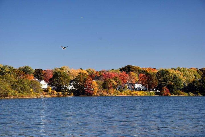 メイン州の紅葉プライベートロブスターボートクルーズ（地元の飲み物付き）