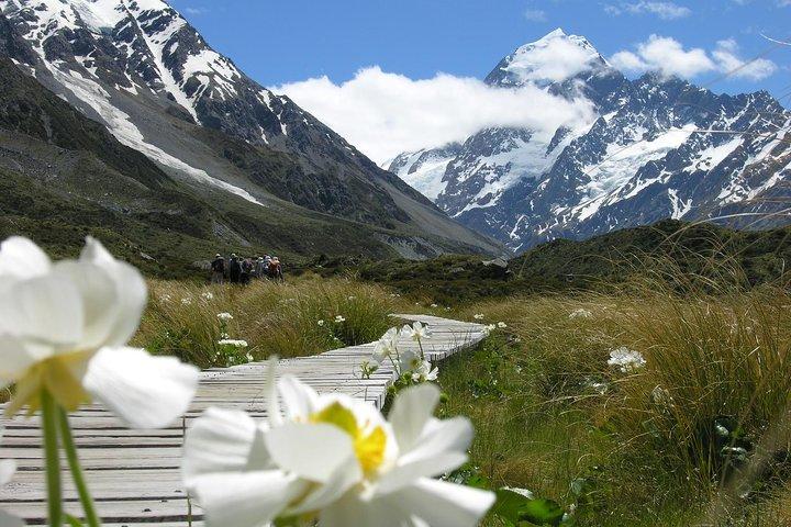 Excursion d'une journée à Mount Cook de Christchurch à Queenstown