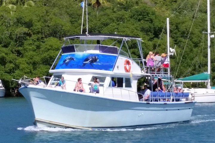セントルシアのクジラとイルカウォッチングクルーズ
