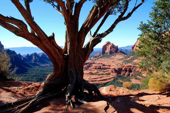 Sedona Jeep Tour 4X4 Climb - Alto do Colorado