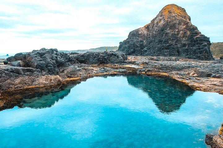 モーニントン半島ハイキングと温泉日帰りツアー-少人数