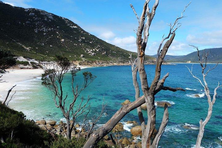 Wilsons Promontory Day Hiking Tour - Pequeno grupo (4-11 hóspedes)
