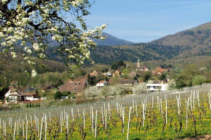 Alsace 4 Merveilles Excursion d'une journée en petit groupe au départ de Colmar