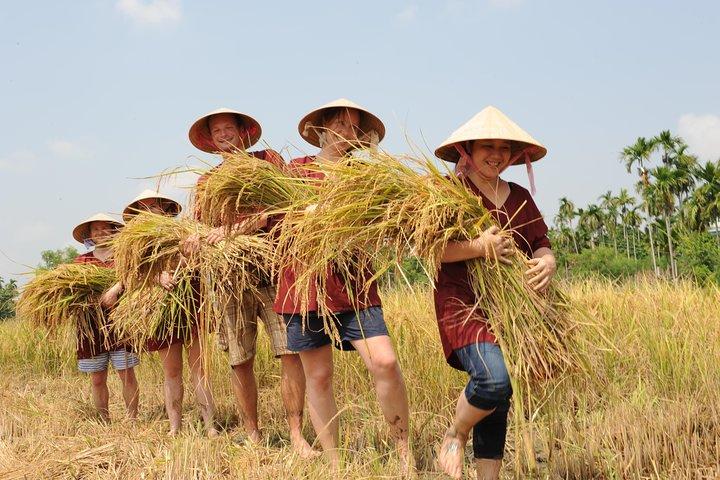 Full-Day Hoi An Town og Tra Que Vegetable Village Tour
