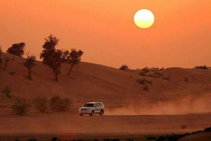 Private Tour To Zagora & Daraa Valley 2 Days 1 Night in The Tent