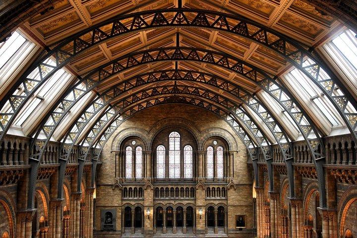 ロンドン自然史博物館 - 特別ガイド付き博物館ツアー