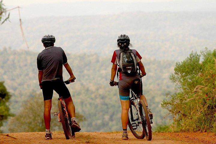 Jungle Wildlife Bike Tour till Iguazu National Park & Jaguar Road