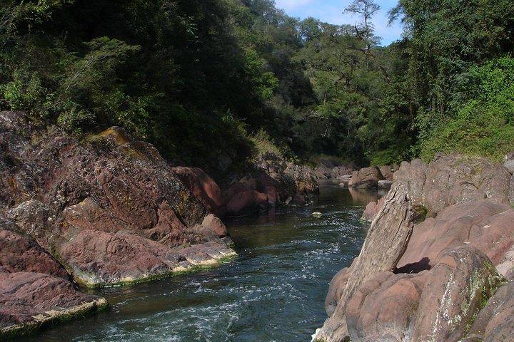 Yungas en El Rey National Park 4x4 Full Day Tour vanuit Salta
