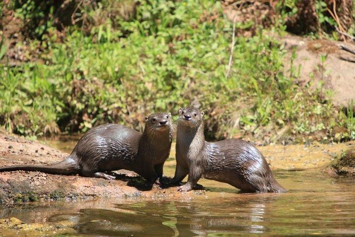 Yungas en El Rey National Park 4x4 Full Day Tour vanuit Salta