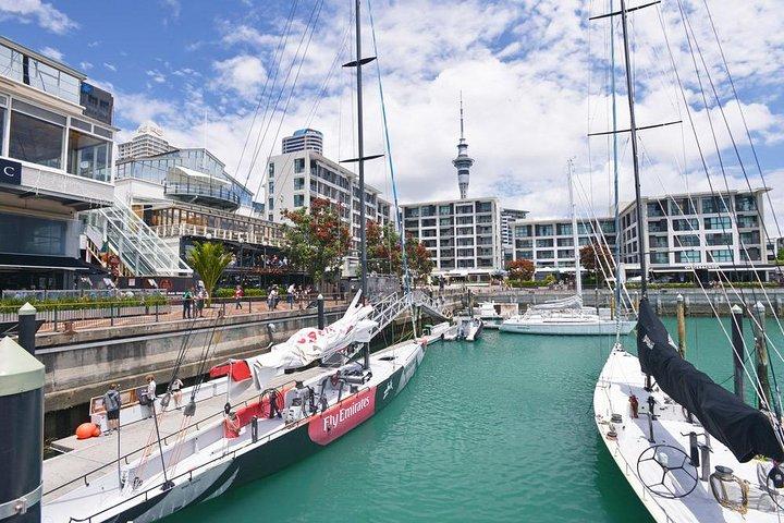 Auckland City Highlights Tour per piccoli gruppi