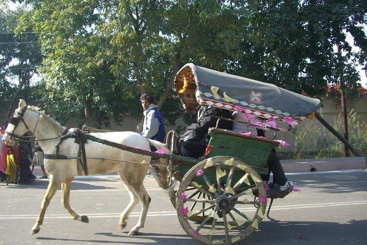 Udaipur - guidet vandretur med berømte Tonga Ride