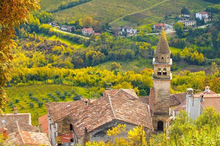 Half day trip to Motovun with Local Brandies Tasting